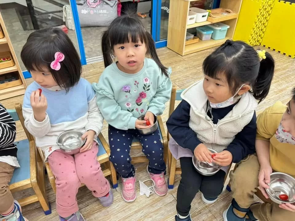 🍓認識水果‧水果品嚐大會🫐 🍓認識水果‧水果品嚐大會🫐