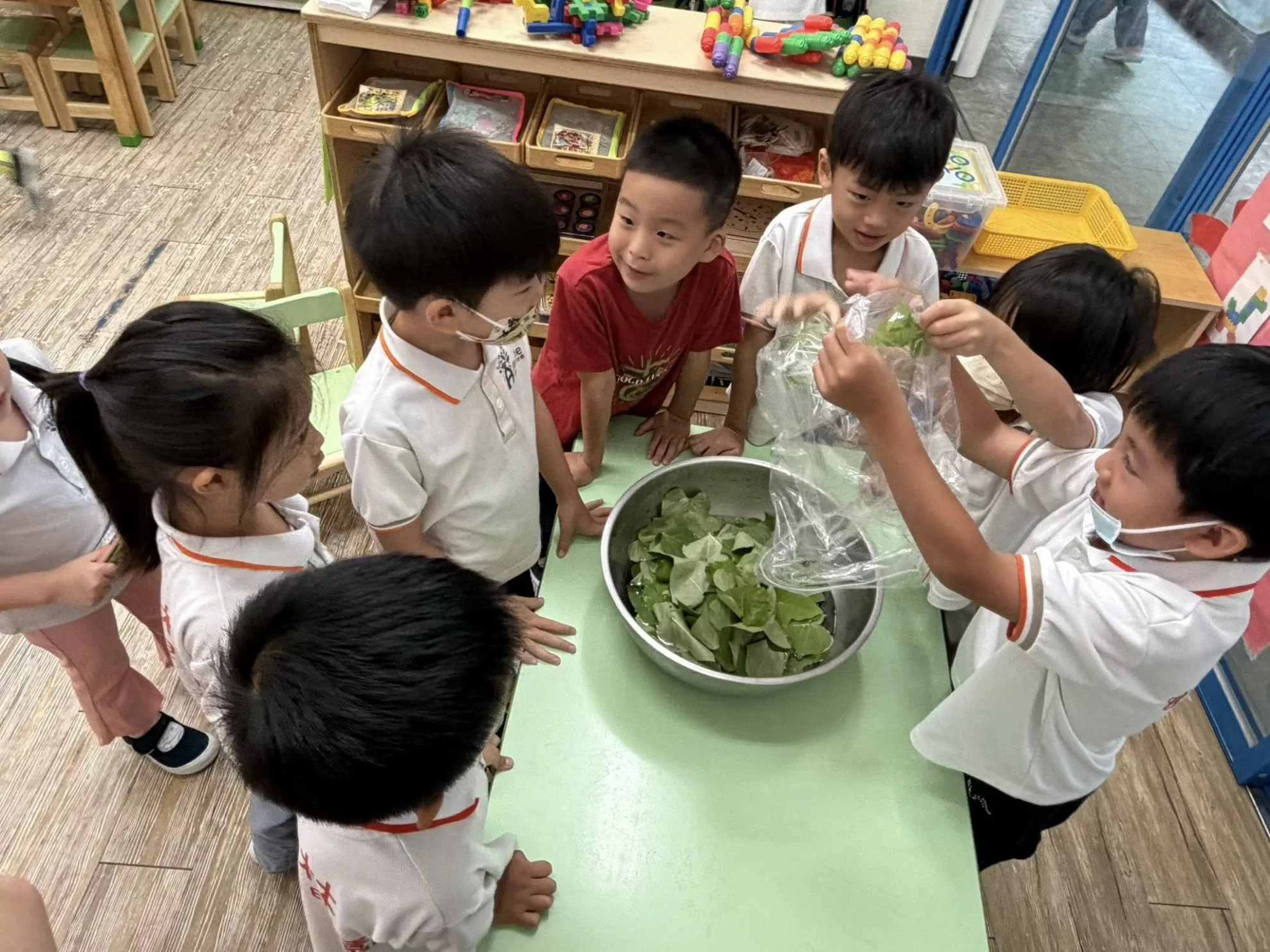 🌿【小小主廚變身記｜天然地瓜葉麵疙瘩DIY】🍜