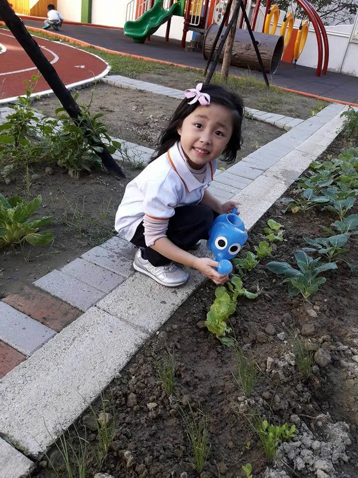 Elephant Class~照顧植物時的發現喔！