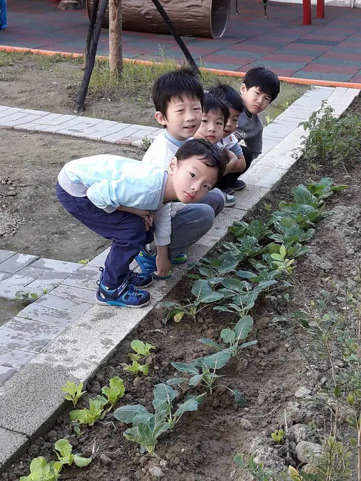 Elephant Class~照顧植物時的發現喔！
