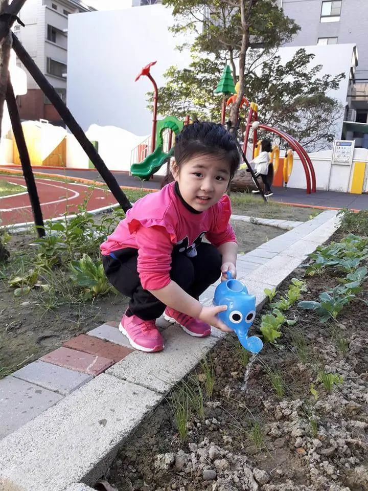 Elephant Class~照顧植物時的發現喔！