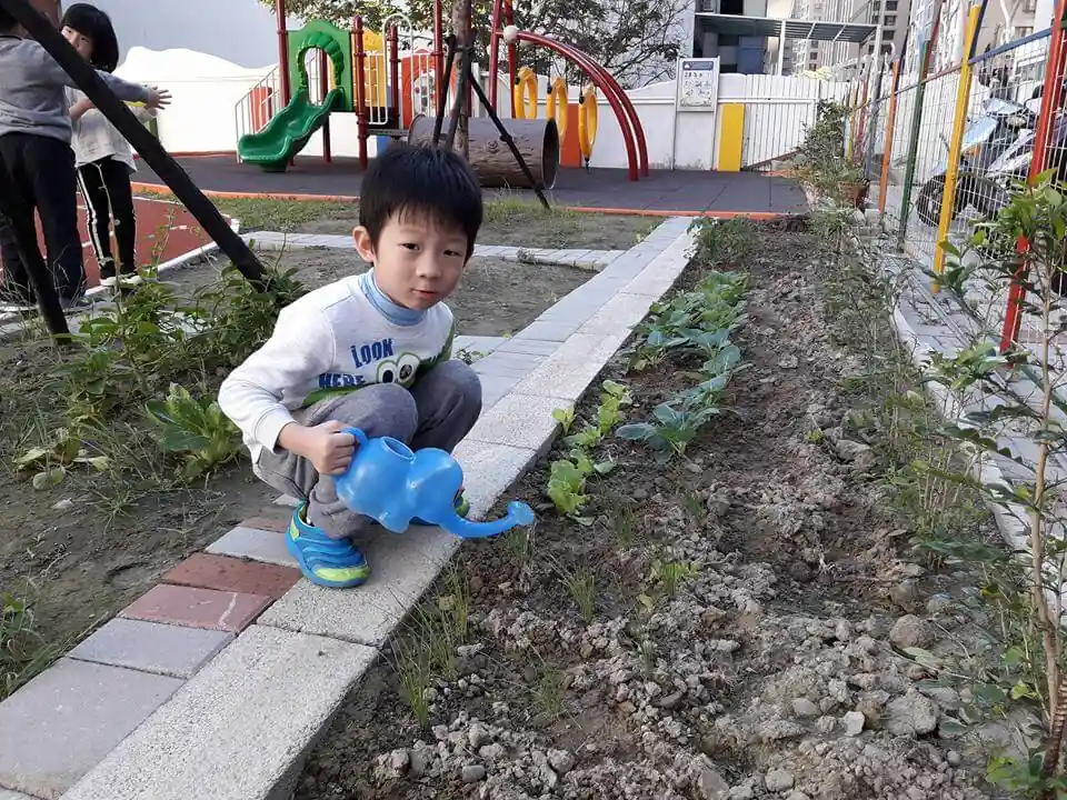 Elephant Class~照顧植物時的發現喔！